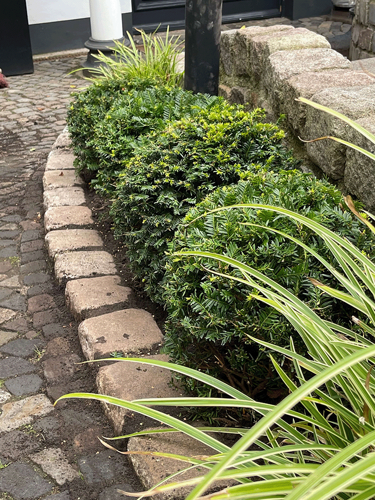Privatgarten Hamburg