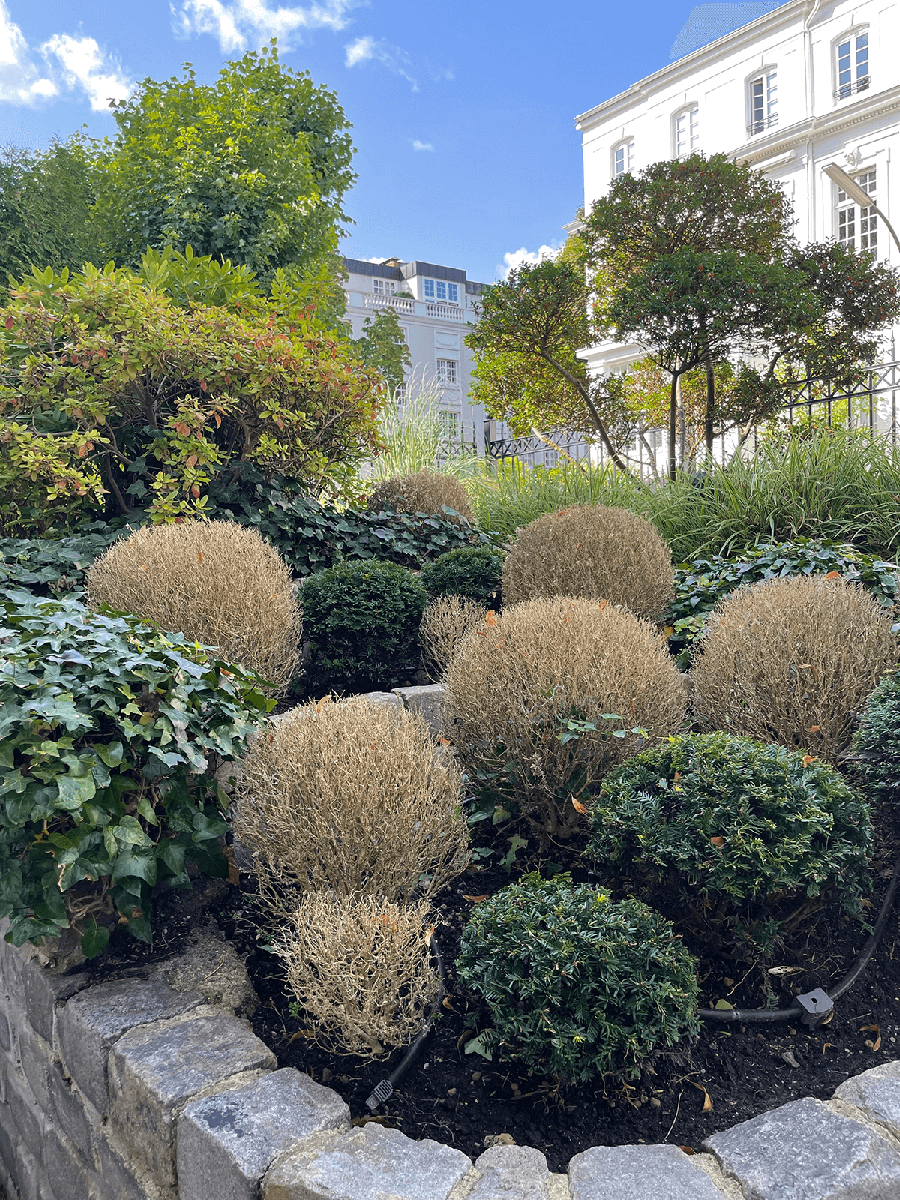 Privatgarten Hamburg